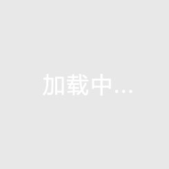 十五运会男篮成年组资格赛收官